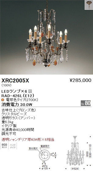 ƣ ENDO LED ǥꥢ XRC2005X ᥤ̿