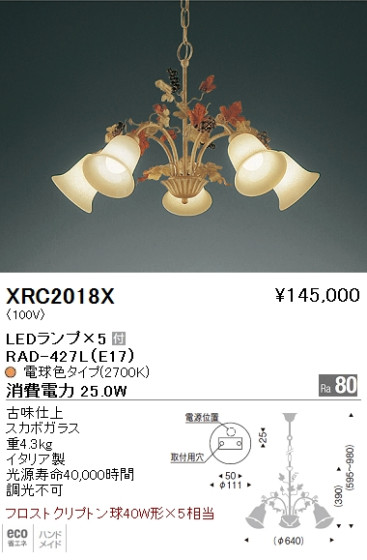 ƣ ENDO LED ǥꥢ XRC2018X ᥤ̿