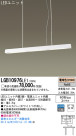 Panasonic LED ڥ LGB10976LE1