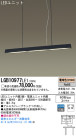 Panasonic LED ڥ LGB10977LE1