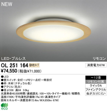 ODELIC ǥå LED 󥰥饤 OL251164