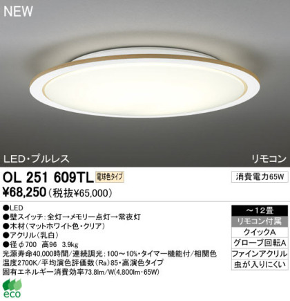 ODELIC ǥå LED 󥰥饤 OL251609TL