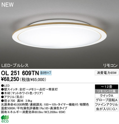 ODELIC ǥå LED 󥰥饤 OL251609TN