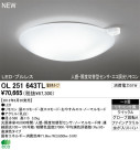 ODELIC ǥå LED 󥰥饤 OL251643TL