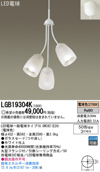 Panasonic LED ǥꥢ LGB19304K ᥤ̿
