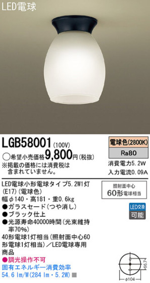 Panasonic LED 󥰥饤 LGB58001 ᥤ̿