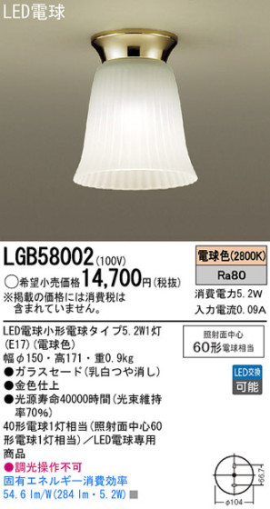 Panasonic LED 󥰥饤 LGB58002 ᥤ̿