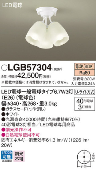 Panasonic LED ǥꥢ LGB57304 ᥤ̿