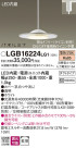 Panasonic LED ڥȥ饤 LGB16224LG1