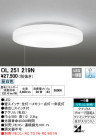 ODELIC ǥå LED 󥰥饤 OL251219N