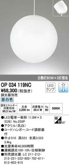 ODELIC ǥå LED ȴ OP034119NC ᥤ̿