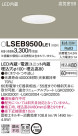 Panasonic 饤 LSEB9500LE1