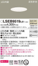 Panasonic 饤 LSEB9519LE1