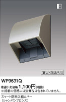 Panasonic ޡɱС WP9631Q
