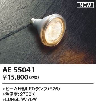β Koizumi ߾ LEDAE55041