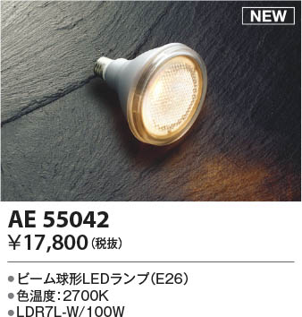 β Koizumi ߾ LEDAE55042