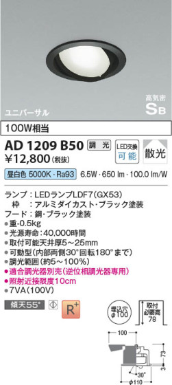 β Koizumi ߾ ⵤ̩SB˥С饤AD1209B50