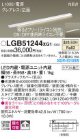 Panasonic ۲ LGB51244XG1