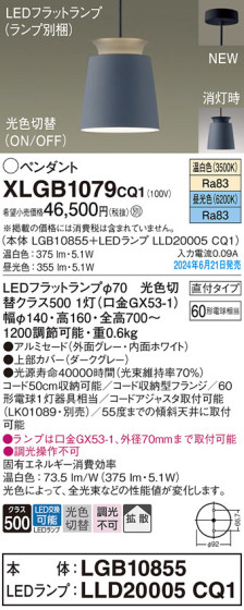 Panasonic ڥȥ饤 XLGB1079CQ1 ᥤ̿